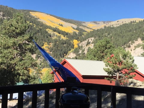 UNOBSTRUCTED MOUNTAIN VIEW FROM DECK. 
