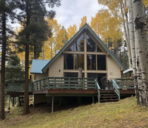 we had the cabin repainted     we love the new color 