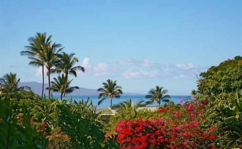 View from lanai!