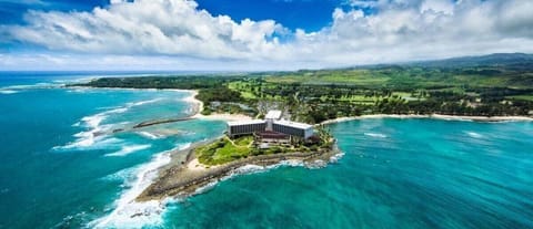 Turtle Bay