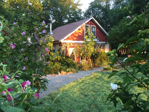 Morning sun on our quaint, country cottage!