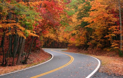 Beauty In the Smoky Mountains