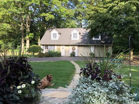 On a Sunny Summer Afternoon!