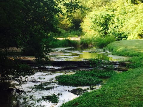 Creek just steps from the front porch!