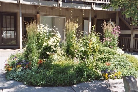 Garden just outside our front door