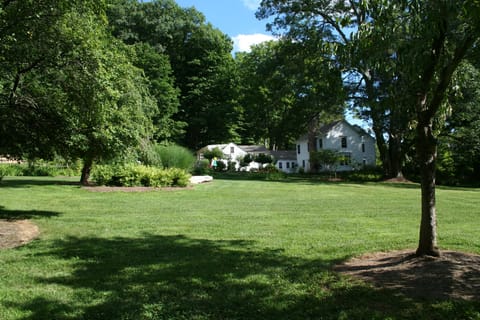 Our very spacious back yard, plenty of room for games or events!