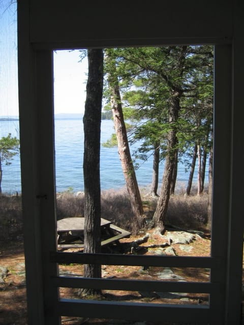 Looking out the front porch screen door.