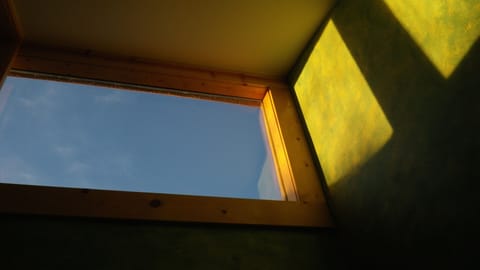 View from clerestory window.