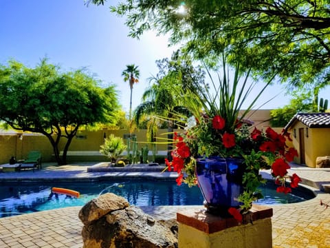Pool is perfect, usually from end of May, June, July Aug and Sept, Oct,weather