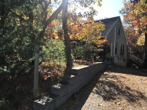 Driveway approach with pole showing
 # 11