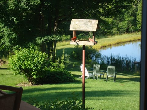 Cardinals in the bird feeder