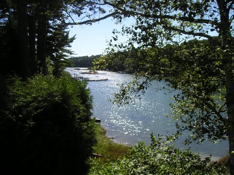 From the living room window
