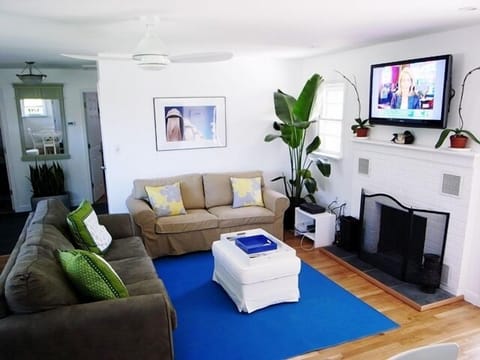 Couch and sleeper sofa