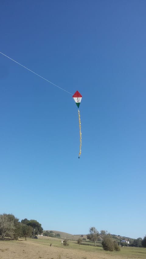 Where the sea shines Apartment in San Vincenzo