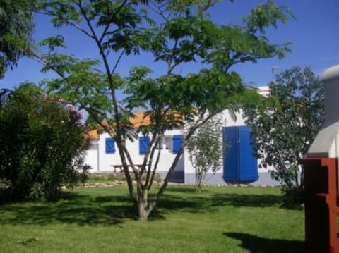 Garden, Park