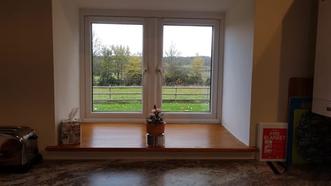 View from breakfast bar