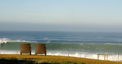 Garden with ocean view
