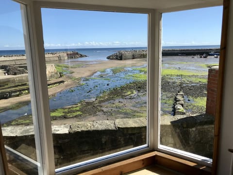 View from Cabin picture window