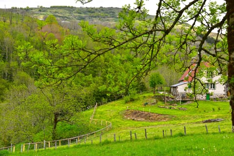 Our cottage and garden