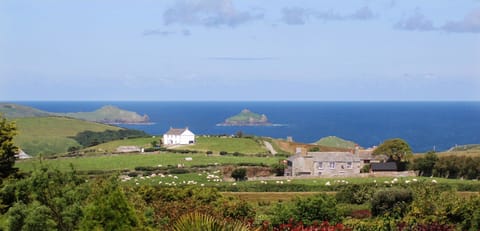 Scarrabine Farmhouse on the hill above Port Quin.