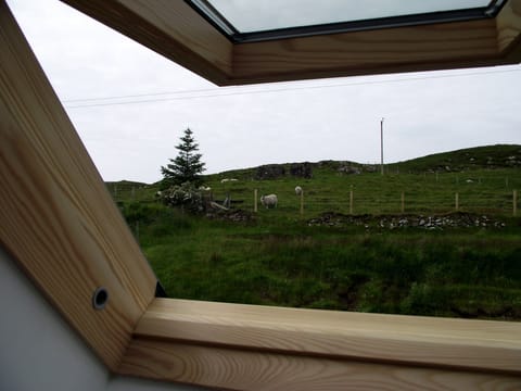 View of the rear of the croft