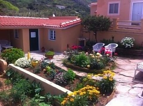 The house's garden!