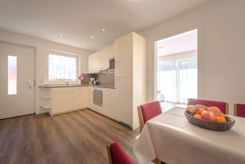 kitchen apartment "Palmai"