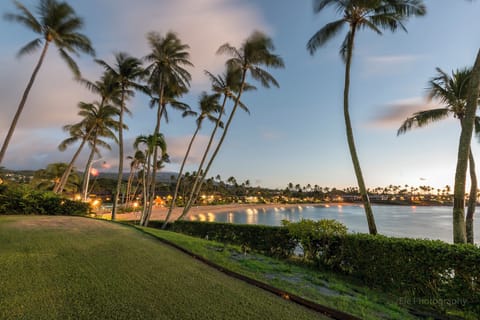 Oceanfront Unit with Grass