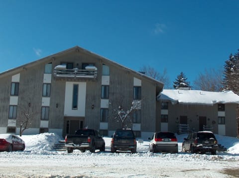 Birches B Condo Unit