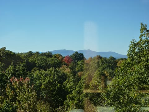 View of Catskills from inside the living room