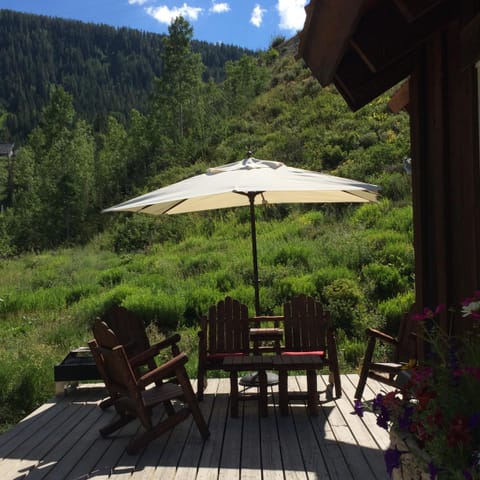 The place to enjoy the sun and fresh mountain air. (New hot tub not yet shown).