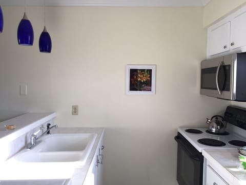 Sunlit Galley Kitchen