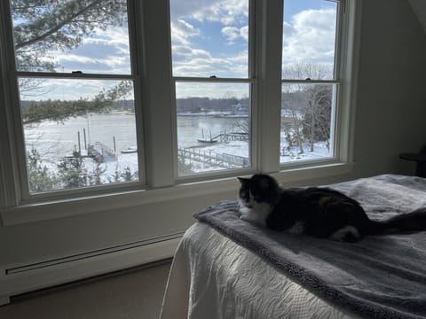 View from master bedroom; queen bed