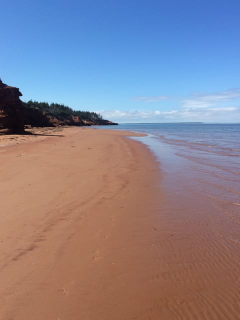 Cabot Beach Provincial Park - The beach!  Miles of beach to explore.