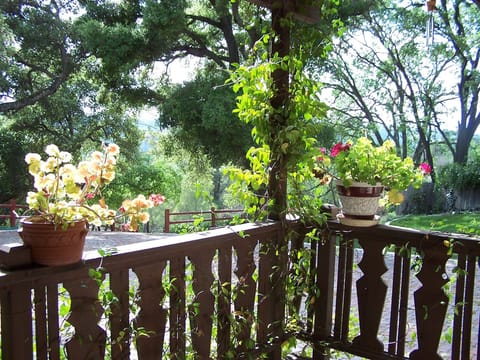 View from the Guest House porch.