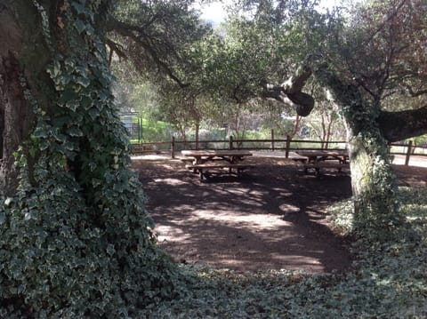 The Sneaky Woods Picnic area can seat 24 just below the Guest House.