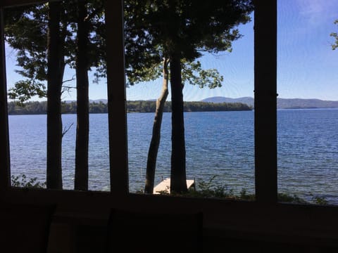 View from inside the screened-in porch!