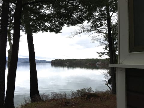 Looking out onto Winter Harbor.