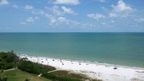 View of the beach.