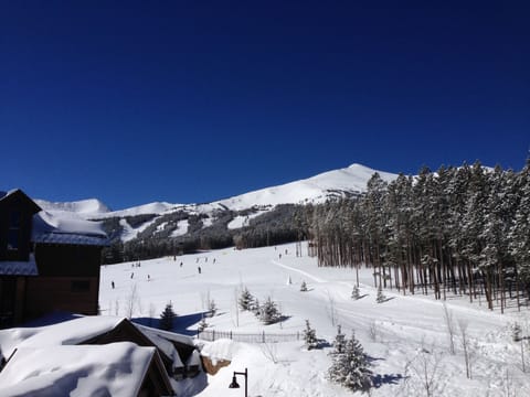Your view from the living room of your condo