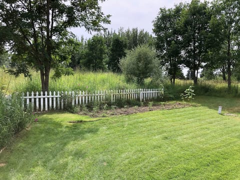 Yes, that's a real vegetable garden. You're free to partake.