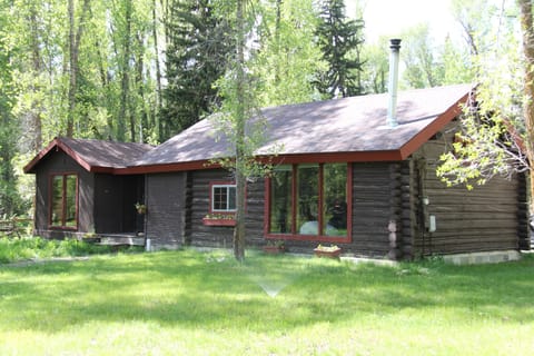 Front of Cabin in Summer