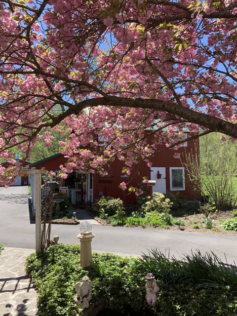The Barn in spring