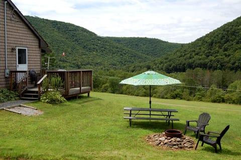 Welcome to the Whitetail.