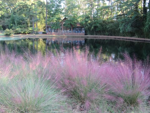 View from across the pond