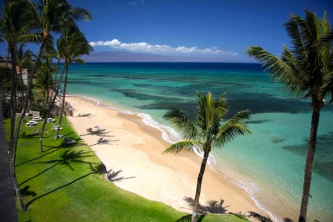 View from Lanai