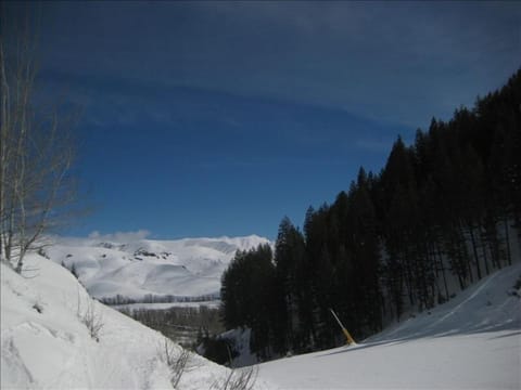 River Run Ski area, Gondola and lodge are just steps away....