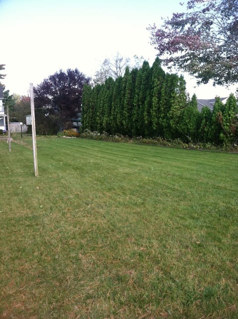 Like big yards? me too! all grass. no weeds. room and poles for badminton