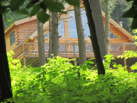 View toward the house