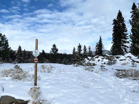 Hillside Trail in Winter.